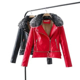 Fur Collar Leather Jacket-1